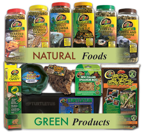 GreenValuesProductsFew